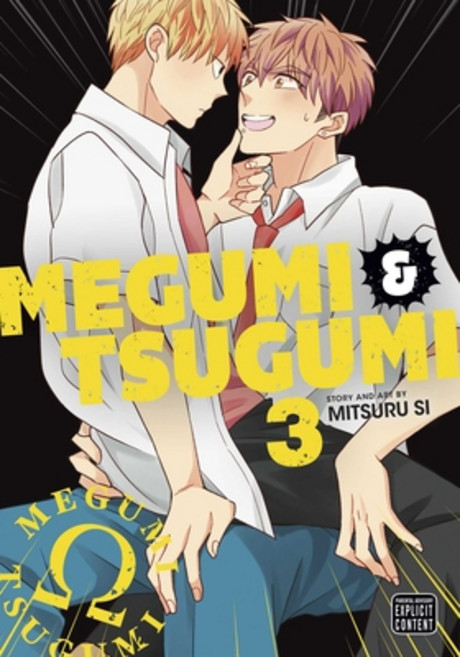 (영문도서) Megumi & Tsugumi Vol. 3 Paperback, Sublime, English, 9781974738892