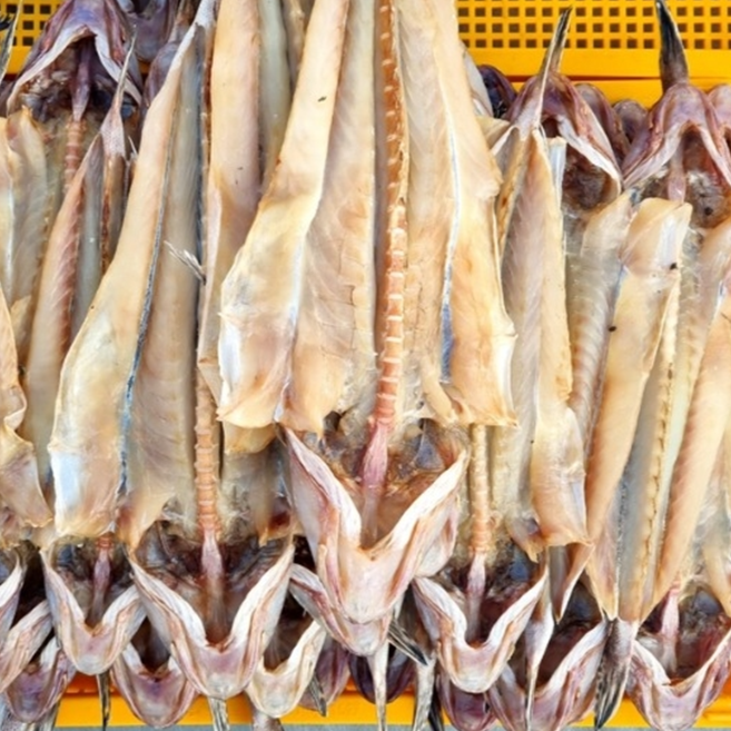 양태 3마리 4마리 장대 고흥 나로도 국내산 말린생선 반건조생선 제수용, 2개, 600g이상, 양태4미