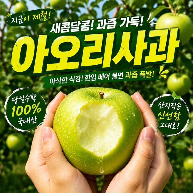 [산지직송] 아삭한 여름 햇 아오리 청 사과 고당도 프리미엄 꿀 사과, 1개, 2kg (중대과)