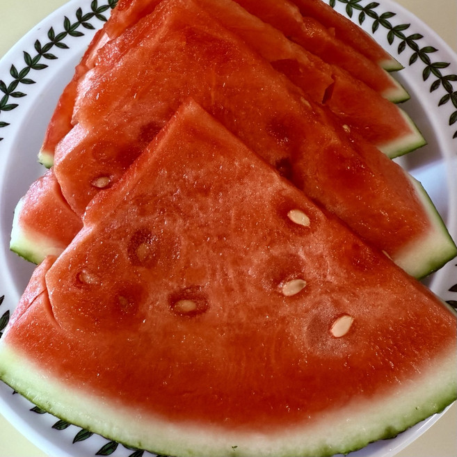 당도보장 산지직송 줄수박 6kg~8kg 14브릭스 이상, 1개, 7000g