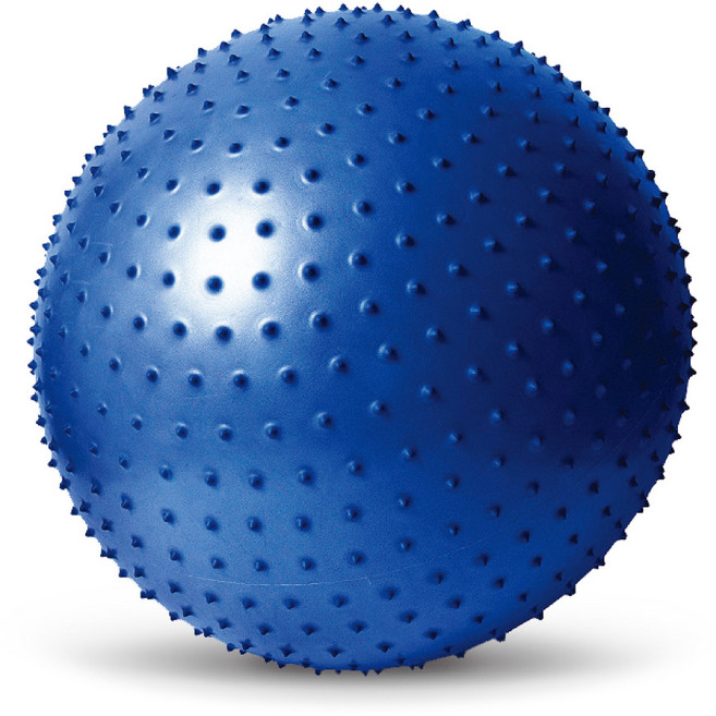 STAR 마사지 짐볼 65cm (발펌프포함), 단일