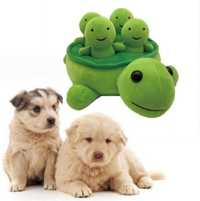 프롬도로시 강아지 노즈워크 장난감 인형 쏙쏙 거북이, 1개, 그린