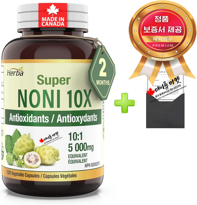 캐나다산 10배 고농축 노니 500mg 120캡슐+정품보증서 Herba 허바 캐나다 직배송, 120정, 1개