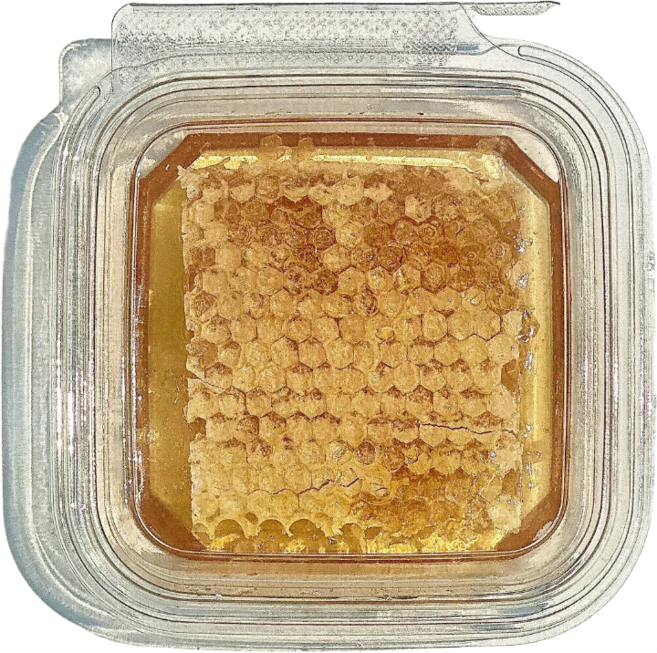 산지직송 100% 국내산 천연 야생화 벌집 꿀, 1개, 200g