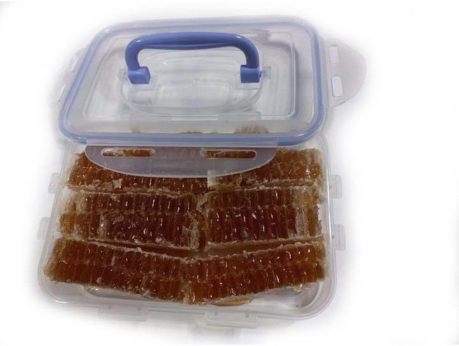 [지리산토종꿀농원] 농림부우수농가/ 벌집꿀/ 락앤락벌집꿀(총600그램)/ 햇꿀/디저트용, 600g, 1개