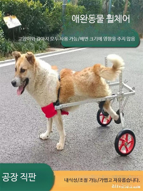 강아지 휠체어 후지 마비 애완동물 보행기 장애 강아지 후지 보조 고양이 테디 대형 소형견 지지대, S (6.5~14.5kg), 사양은 설명을 참조하세요., 1