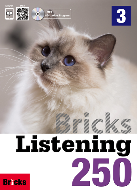 BRICKS LISTENING 250 (3) 브릭스리스닝