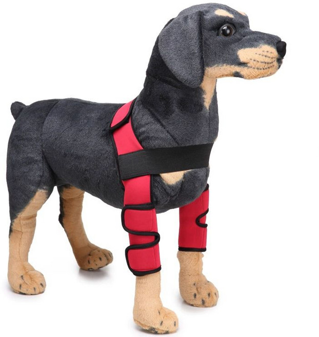 강아지 슬개골 보조기구 대형견 견인 보조 뒷다리 보행 벨트 보조기, 목걸이형 표준 1 레드, S, 1L, 1