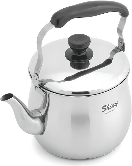 퀸센스 샤이니 인덕션 주전자, 7L, 혼합 색상, 1개