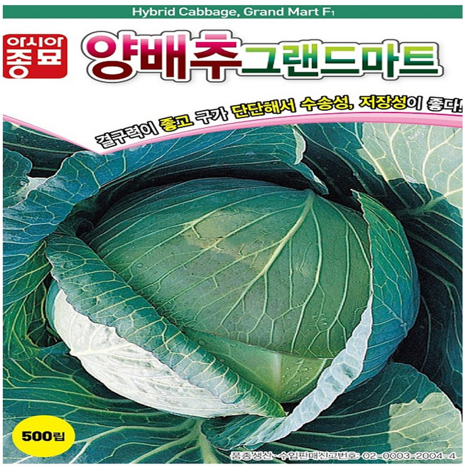그랜드마트 양배추 씨앗 500립, 1개