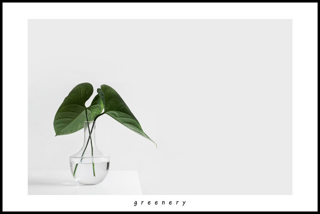 코나 주방아트보드 아트글라스 아트월 주방 셀프 벽면 인테리어 꾸미기 그리너리, 1개