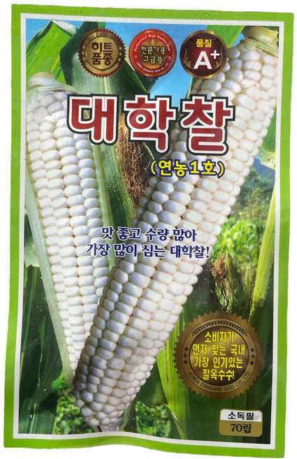 오리지널 대학찰 옥수수 씨앗(연농1호) 70립 찰옥수수종자, 1개