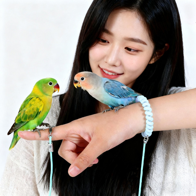 앵무새 발목링 발목줄 리드줄 하네스 전용 훈련 도구 야외용, 1개, 옵션 3