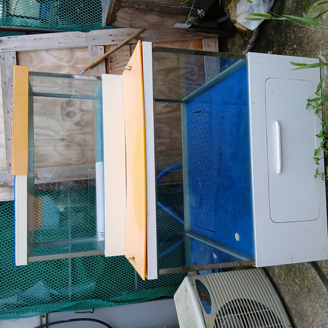 업소용 2단 수족관 상태좋음 142, 1개, 1