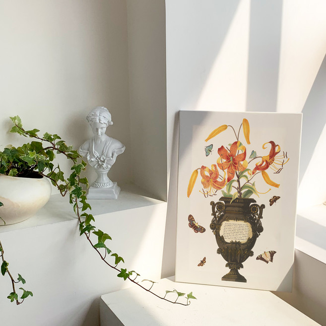 더아트컴퍼니 보태니컬 플랜테리어 식물도감 빈티지 포스터 액자 50종 (1번~17번), 16. 레터링베이스