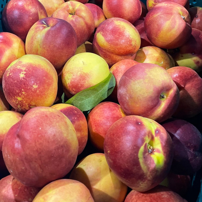 일등농수산 산지직송 고당도 망고복숭아, 1개, 4kg 로얄과