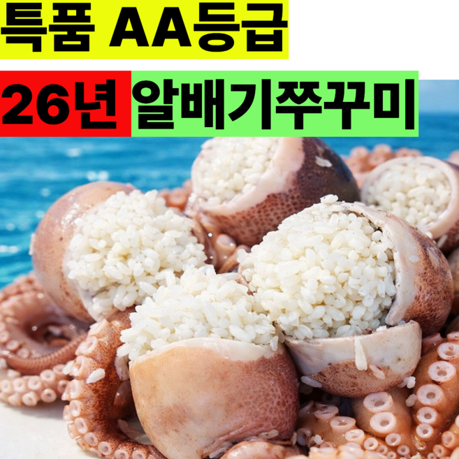 [특품AAA등급] 활 알배기쭈꾸미 생물 알쭈꾸미, 1박스, 1kg(특품)