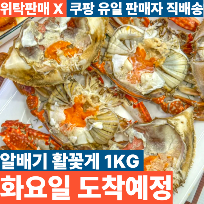 국내산 생물 알배기 활꽃게, 1개, 1kg