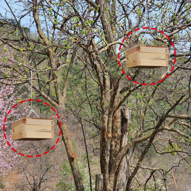 됫박 유인봉상(양봉 토봉), 1개