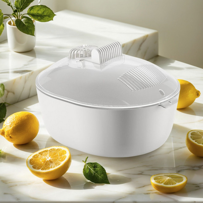 트리플리치 4IN1 다기능 냉동식품 해동기 급속 해동 육류 해산물 자연해동, 1개