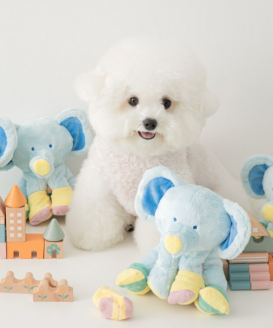 BITEME 바잇미 양말 코끼리 노즈워크 장난감 바스락삑삑노즈워크 752147, FREE, 1