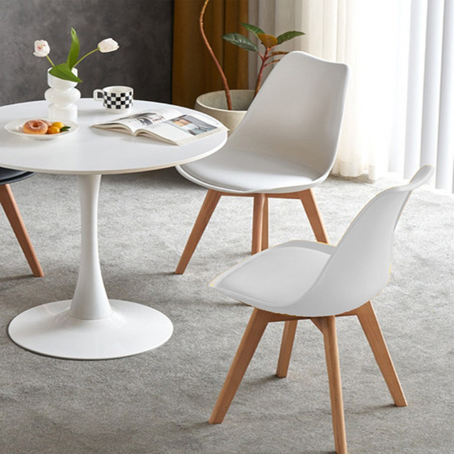 에코베스트 식탁의자 네티체어2P 카페의자 식당의자 인테리어의자 원목의자 플라스틱의자 디자인체어 다이닝체어, 네티체어2P화이트