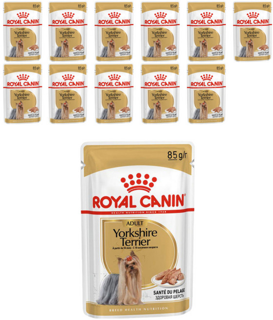 로얄캐닌 요크셔테리어 어덜트 파우치 85g*12개입 강아지 습식 반려견 풍성한 피모관리, 12개, 85g