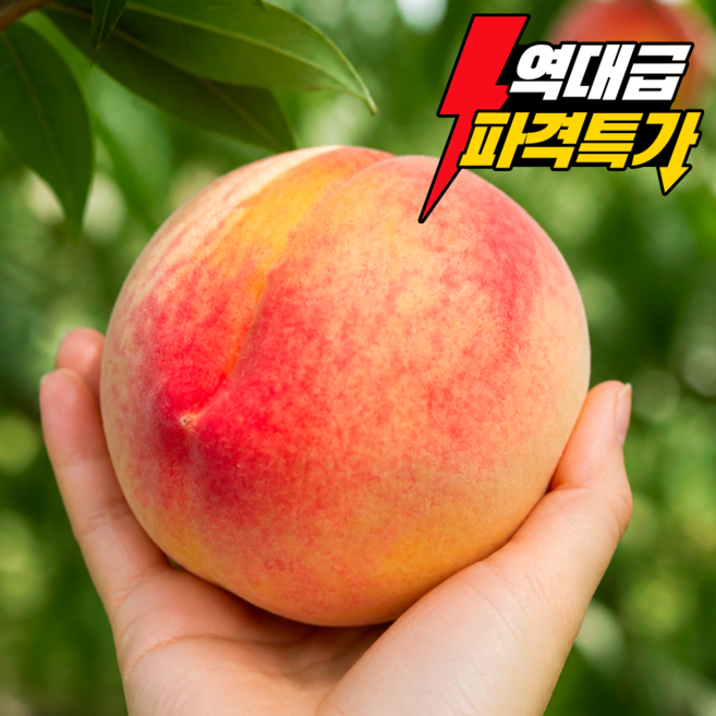 9위 - [재구매1위] 도향담 산지직송 백도 천중도복숭아, 1박스, 4kg (11~14과)