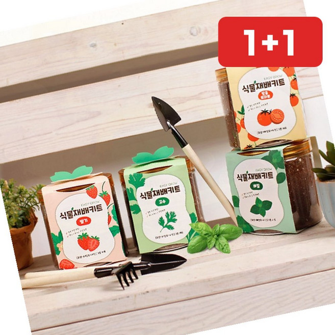 식물키우기키트 방울토마토 딸기 고수 바질 키우기, 06재배키트-강낭콩