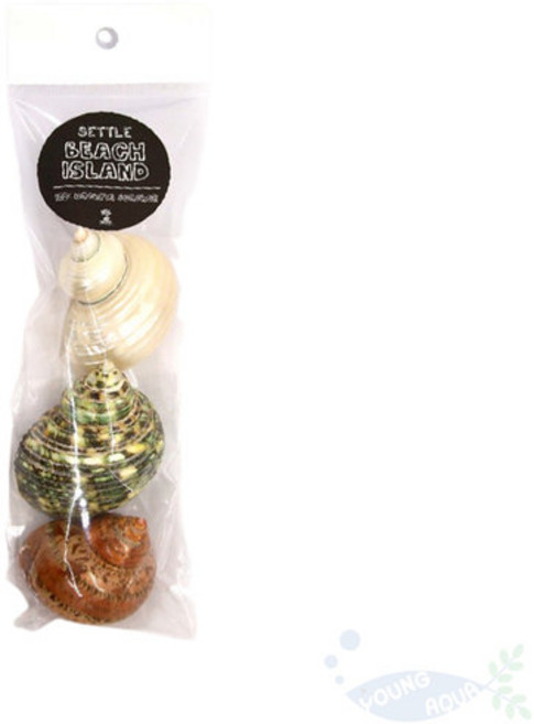 NAMUMALL 소라게 터보 쉘, 랜덤발송, 3개