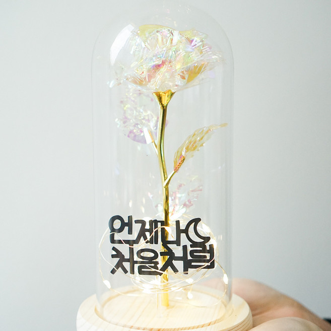 굿라이프 토퍼 홀로그램 장미 유리돔 무드등, 16..건강하세요, 우드