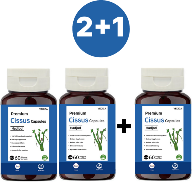 베디카 히말라야 2+1 시서스 시저스 CISSUS 60캡슐 500mg 2개월분, 1개, 60정