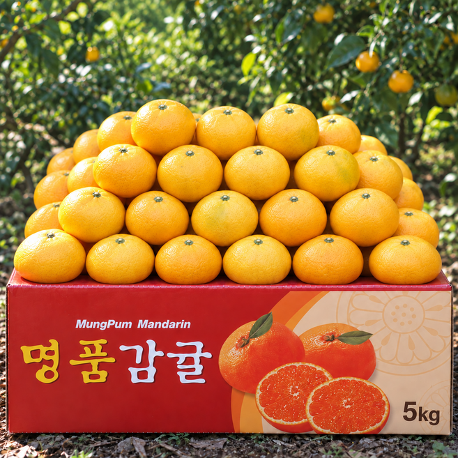 타임초특가 14brix 초고당도 제주 감귤, 1박스, 5kg