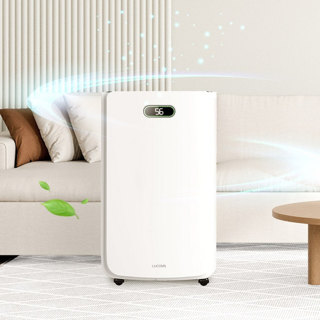 루컴즈 가정용 대용량 공기청정 제습기 20L 화이트 D020F01-W, 단품