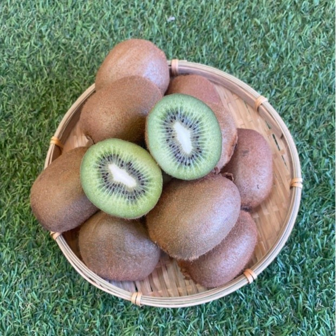 [새콤달콤]국산 그린키위 참다래 2kg 3kg, 1박스, 특대과 2kg (14과 내외)