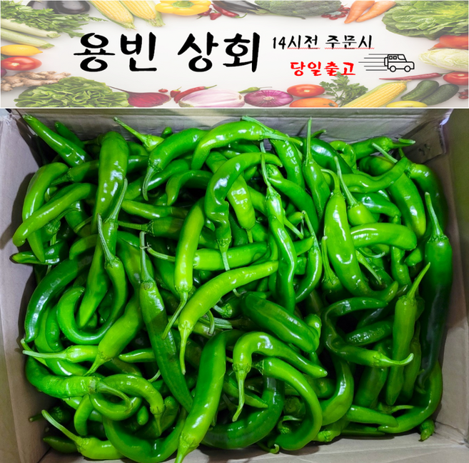 ( 용빈 상회 ) 국내산 아삭이고추 오이고추 오이맛고추 못난이 (상)등급 10kg내외, 1박스