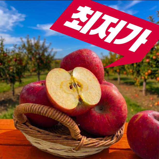 [반짝특가] 껍질째먹는 초고당도 부사 사과, 1박스, 5kg(대과)