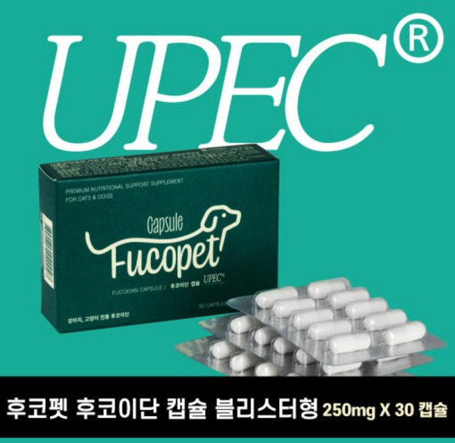 후코펫 후코이단 캡슐 블리스터형 30캡슐 100% 후코이단 7500mg, 1개, 면역/항산화, 30정