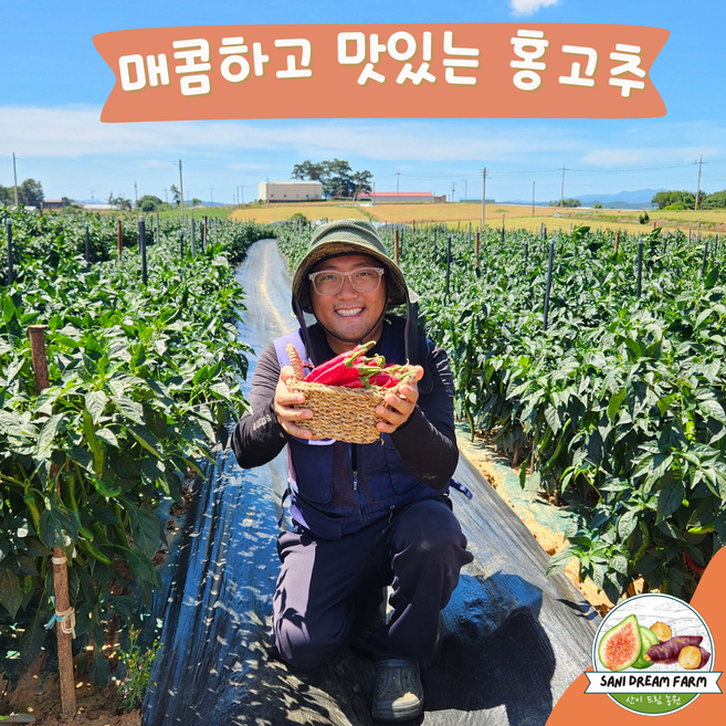 [산이드림농원] 청년농부가 직접 키운 해남 홍고추, 1박스, 5kg