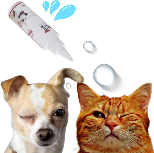 강아지 고양이 결막염 인공눈물 세정제, 1개, 120ml
