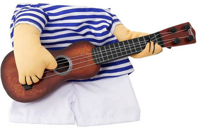 기타치는 강아지 귀여운 아프로 기타리스트 이내 할로윈 댕댕이 프레 고양이옷