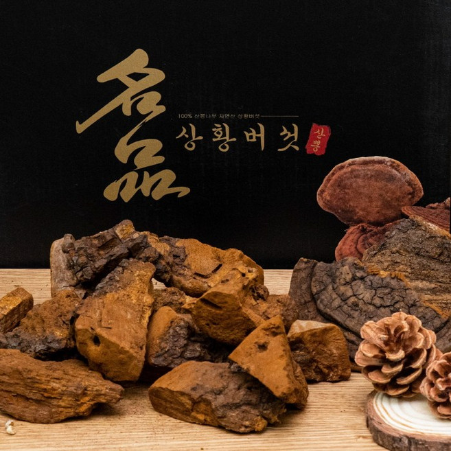 [절편발송]상황버섯/40년산 500g/자연산 정품 산뽕나무상황버섯/국내최상급상황버섯 고급포장, 1박스, 500g