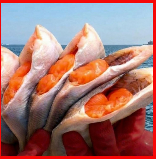 개별포장 국산 반건조 손질 알가자미, 4개, 250g내외