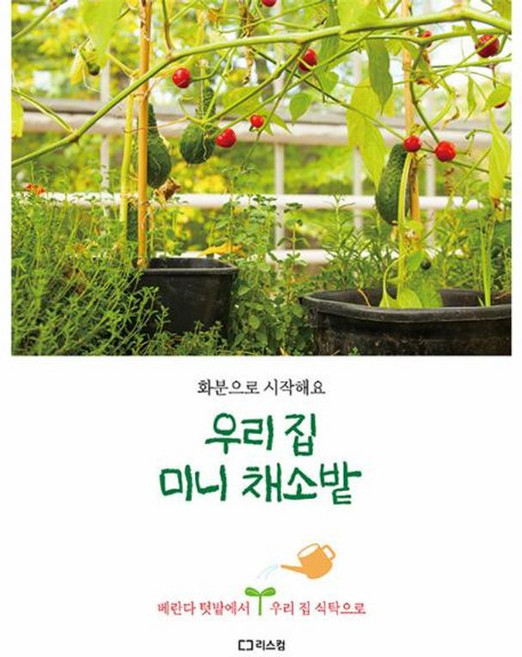 우리 집 미니 채소밭 : 화분으로 시작해요, 리스컴