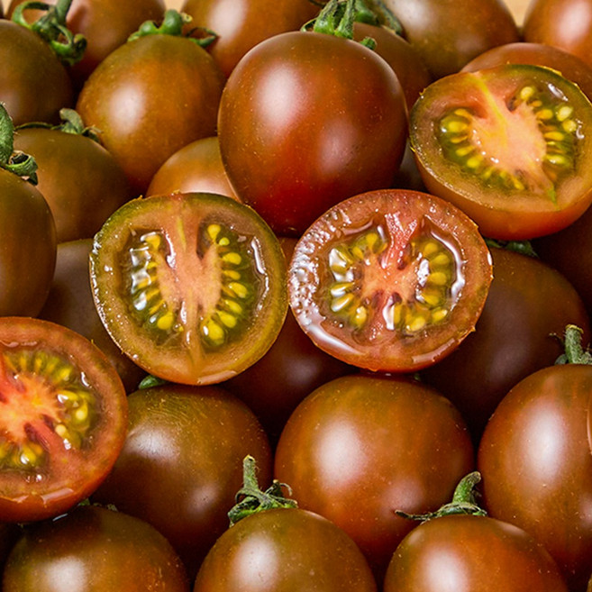고당도 흑대추 방울토마토 흑토마토 제철과일, 500g, 1개