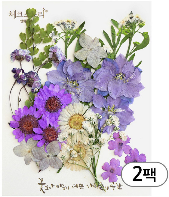 체크스토리 압화 컬러믹스 꽃모음 압화공예 2팩, 안개퍼플