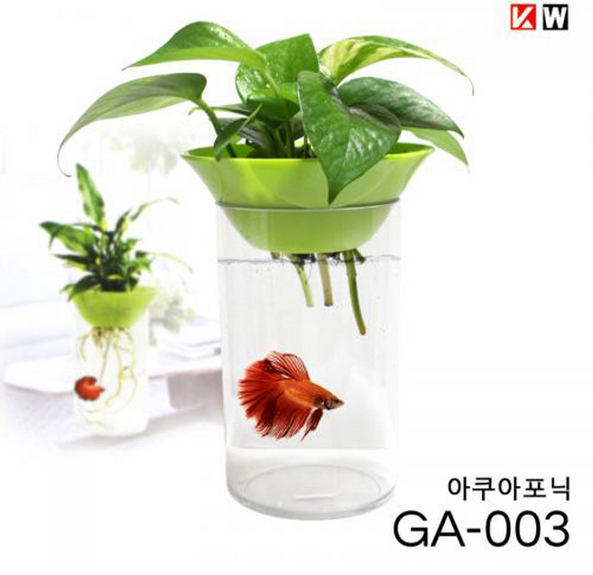 KW 아쿠아포닉 수경재배 미니어항 그린뚜껑 GA-003