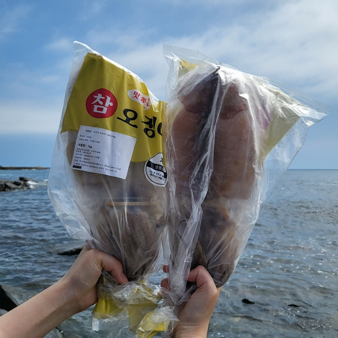 반건조 오징어 10마리 1kg, 1개, 반건조오징어 10마리 1kg