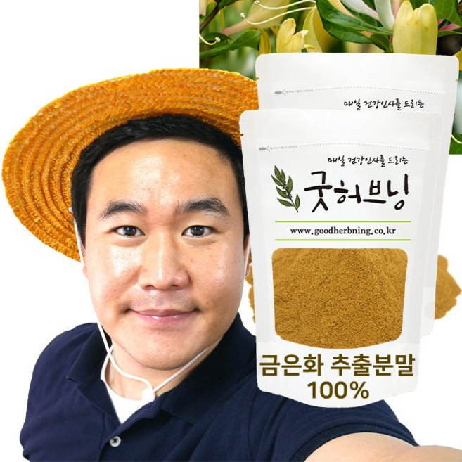 굿허브닝 금은화 추출물 인동덩굴 인동초 꽃 분말 가루 차 250g, 2개