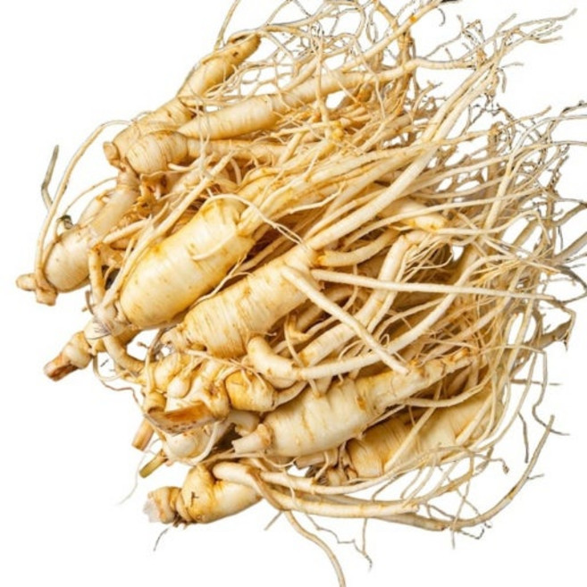 정성껏 재배한 농가인삼.믿을수있는수삼.(꼼꼼한검수 세척한 인삼.세척)진공포장은덤 다양한 크기의 폭넓은 선택사항, 1개, (40)세척-다림용 난발삼